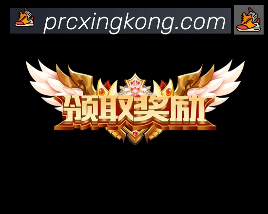 奖项2